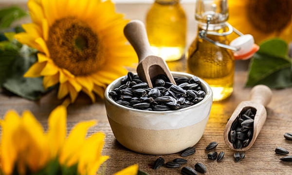 تصویر 5 از قیمت تخم کتان سیاه با کیفیت ارزان + خرید عمده